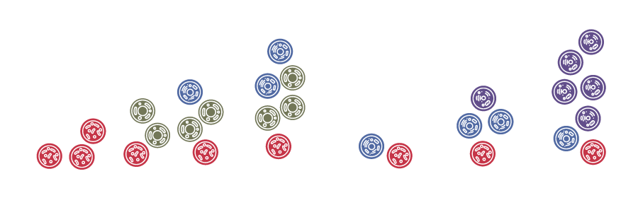 Chart of clonal evolution during therapy, which can lead to a change in mutational status.