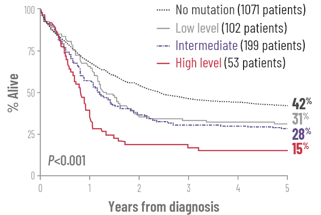 Chart of 5‐year survival rates in AML patients with a FLT3‐ITD mutation.